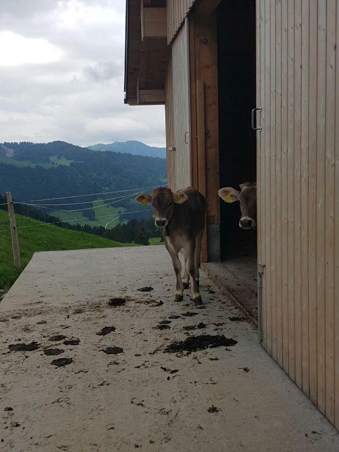Ferien Im Gugger Apartment Nesslau Bagian luar foto